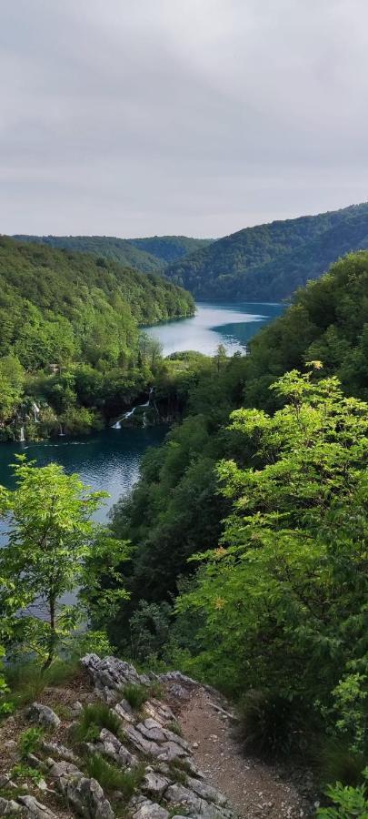 Guesthouse Mirko Hodak Selište Drežničko Buitenkant foto