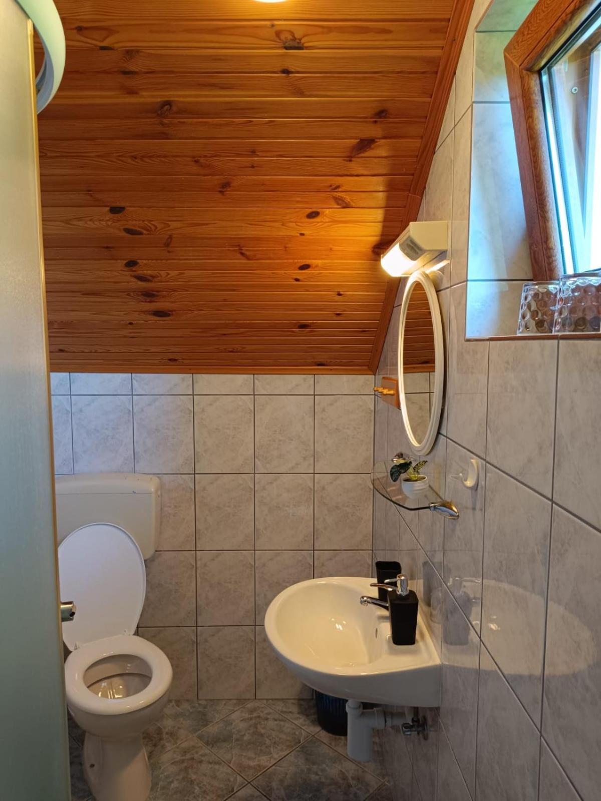Guesthouse Mirko Hodak Selište Drežničko Buitenkant foto