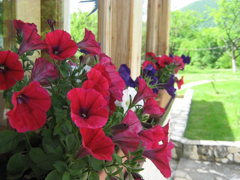 Guesthouse Mirko Hodak Selište Drežničko Buitenkant foto